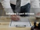 Expert Witnesses