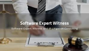 Expert Witnesses